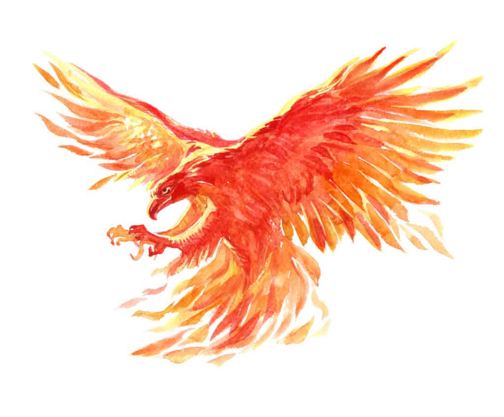 rise like a phoenix in seo