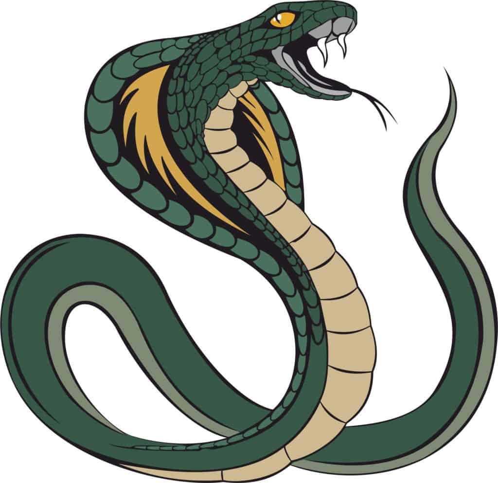 Slytherin - Cunning and Ambitious